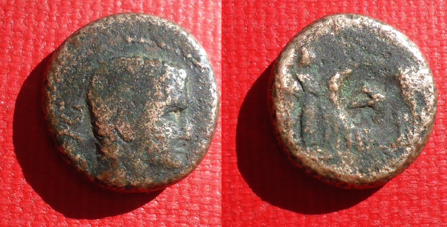 CM - Macedon Philipi Augustus lot Aug 2018 (1).jpg