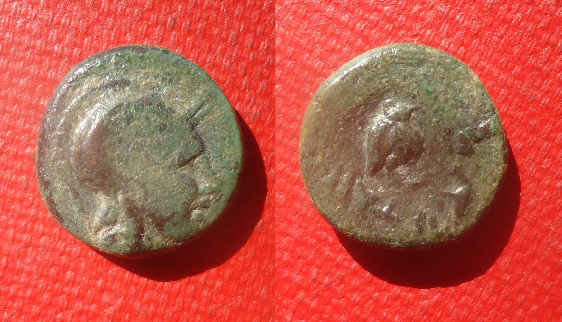 CM - Pergamum owl on Athena & snake Apr 2021 (0).jpg