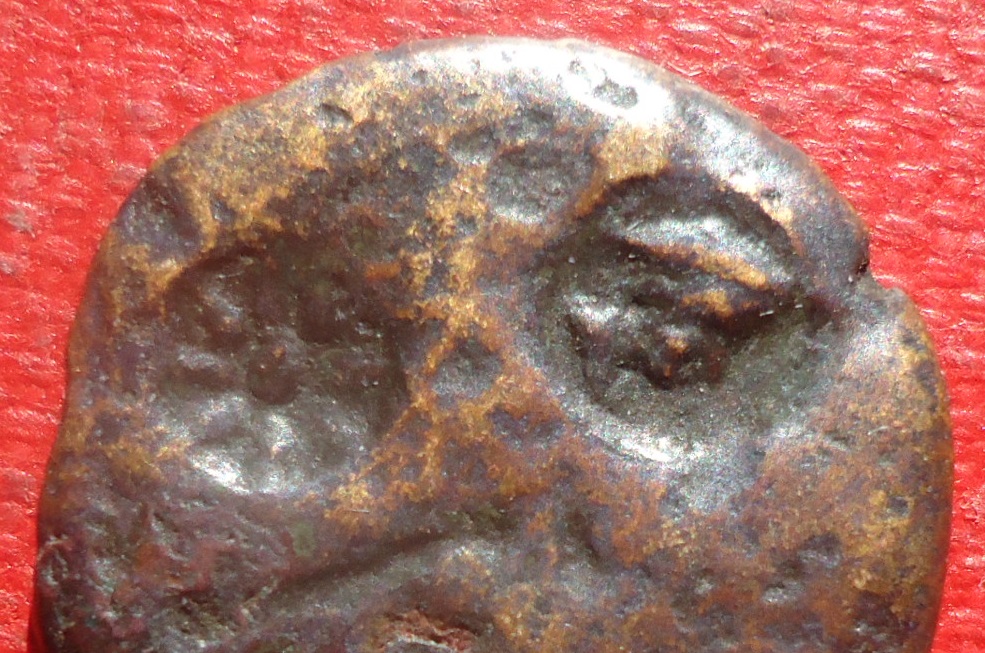 CM - Scythian maybe Jan 2020 (0det).jpg
