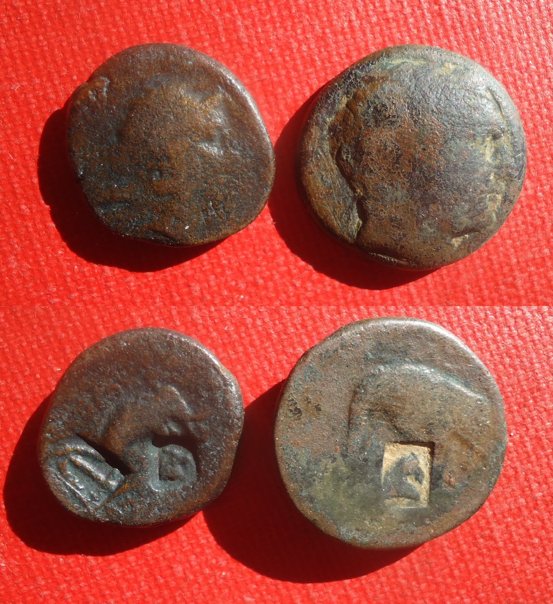 CM - Seleucid Ant. III horse head anchor 2 types 2020 (0).jpg