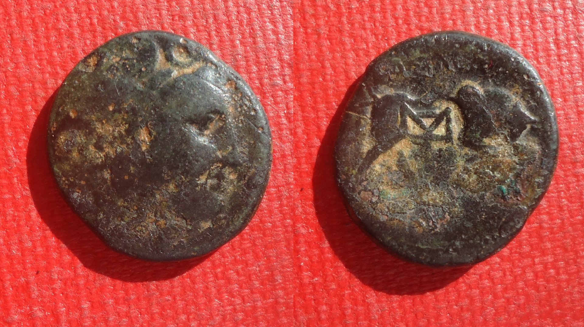 CM - Seleukos I Medusa Bull Sep 2019 (0).jpg
