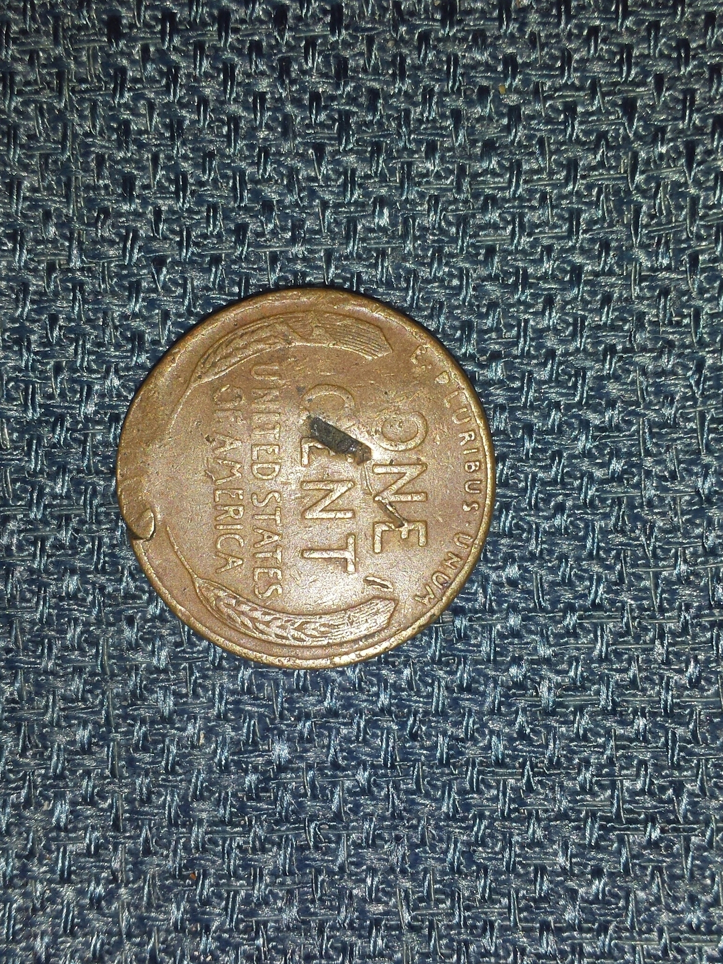 CM140121-182202.jpg