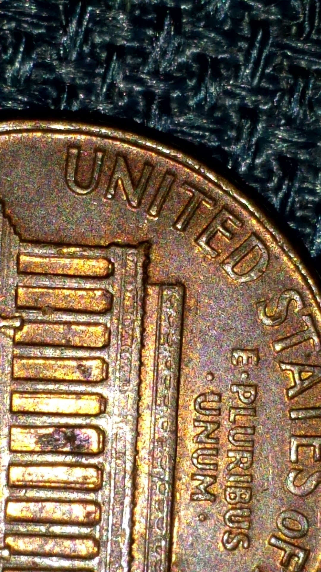 CM140204-18285901.jpg