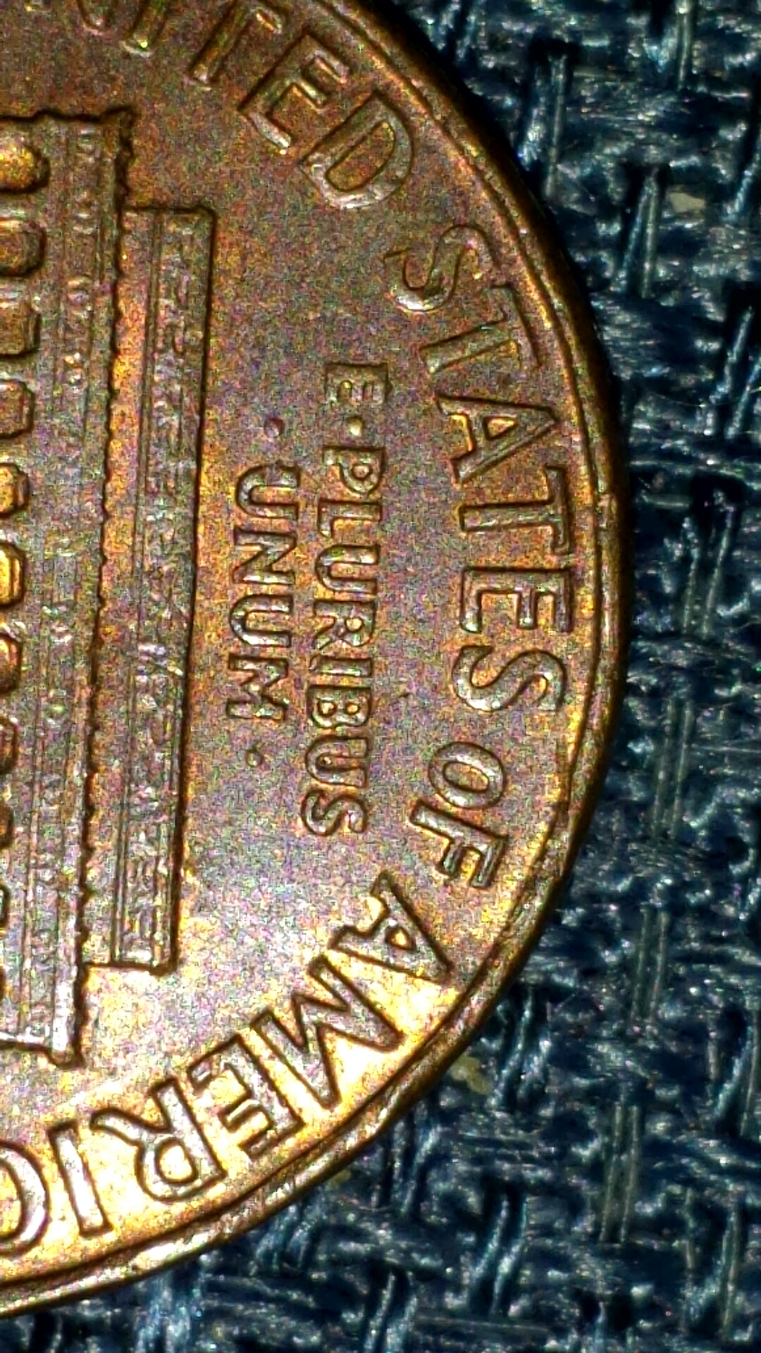 CM140204-18293402.jpg