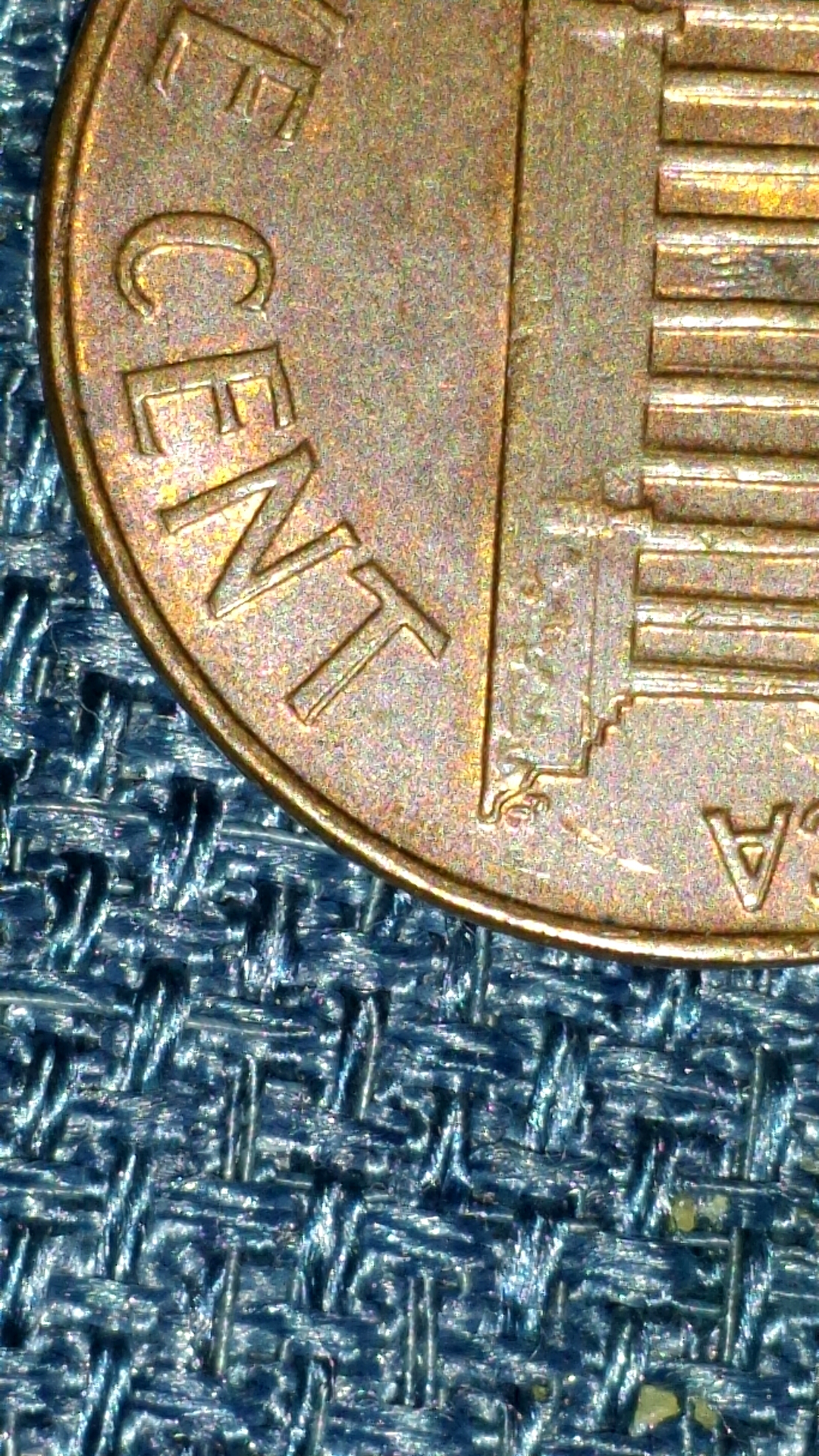 CM140204-18301303.jpg