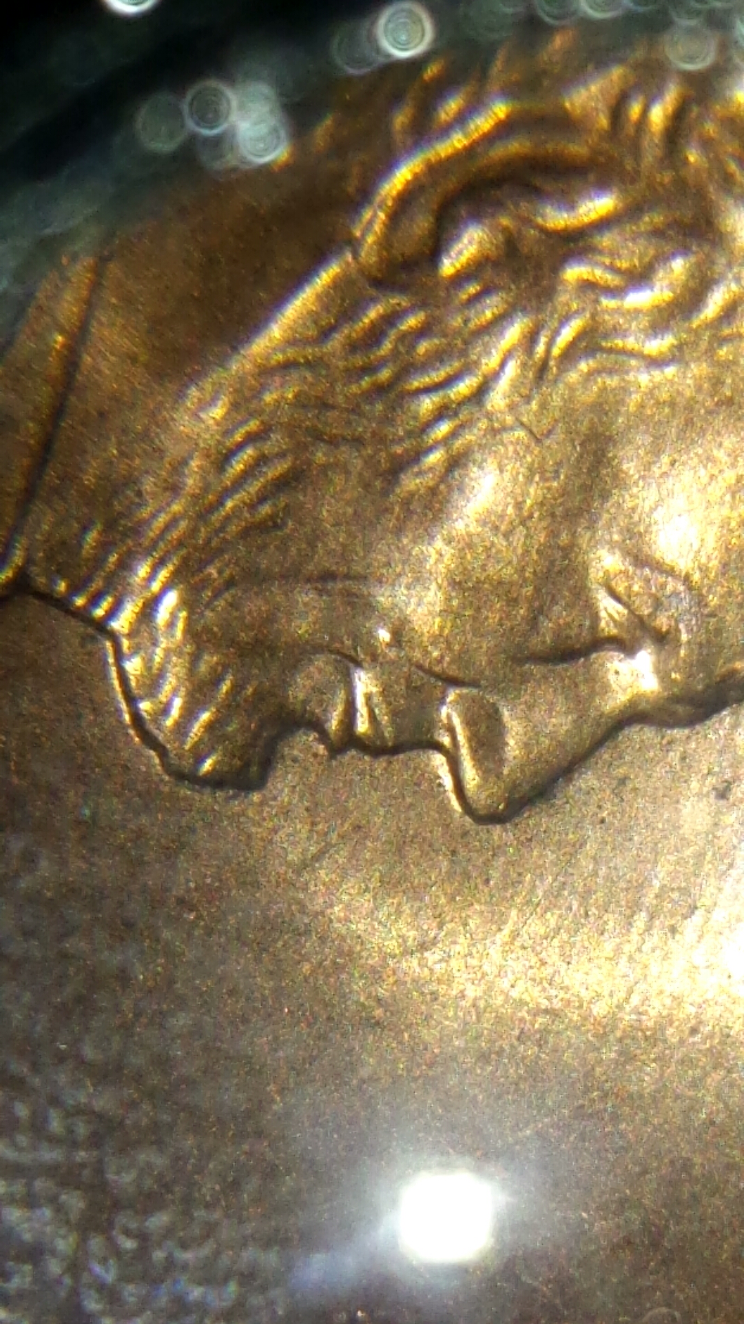 CM140211-22473801.jpg