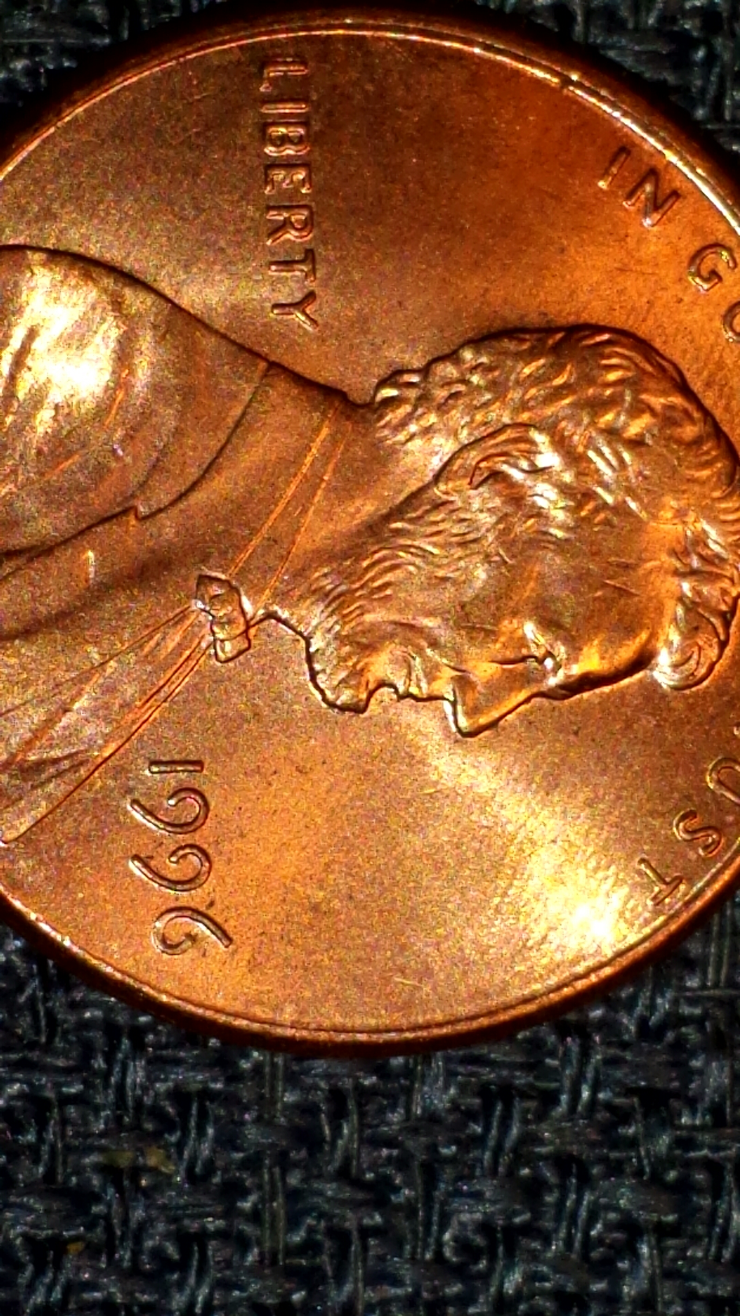 CM140211-22481502.jpg