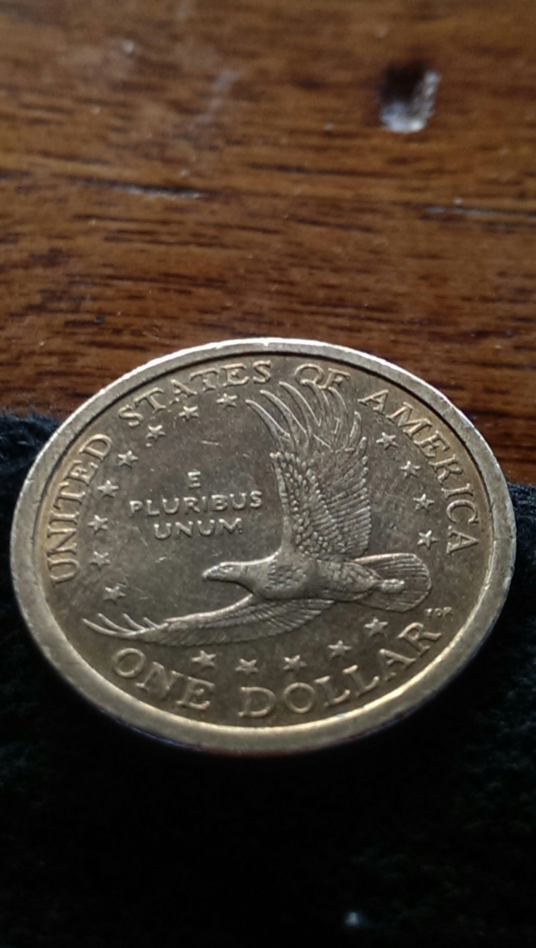 CM150217-17115339.jpg