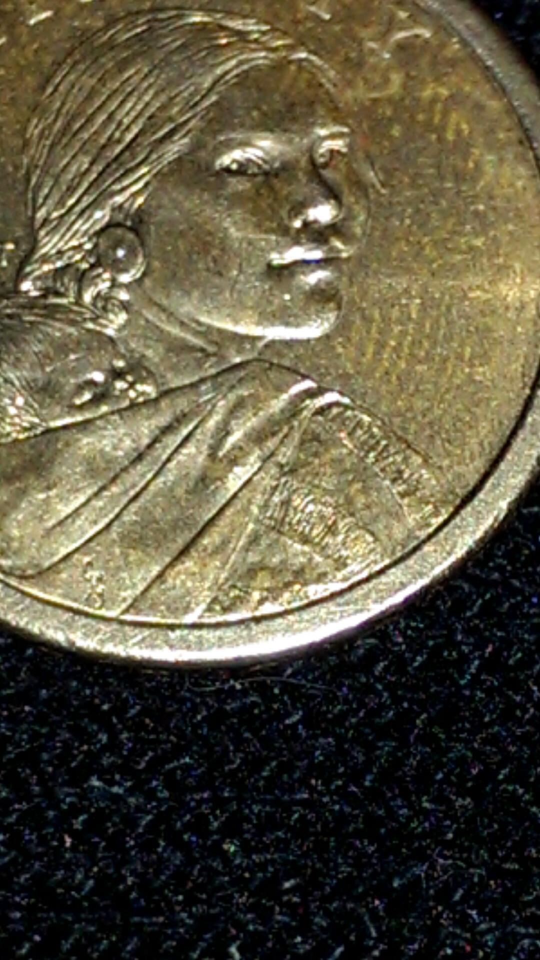 CM150217-17525950.jpg