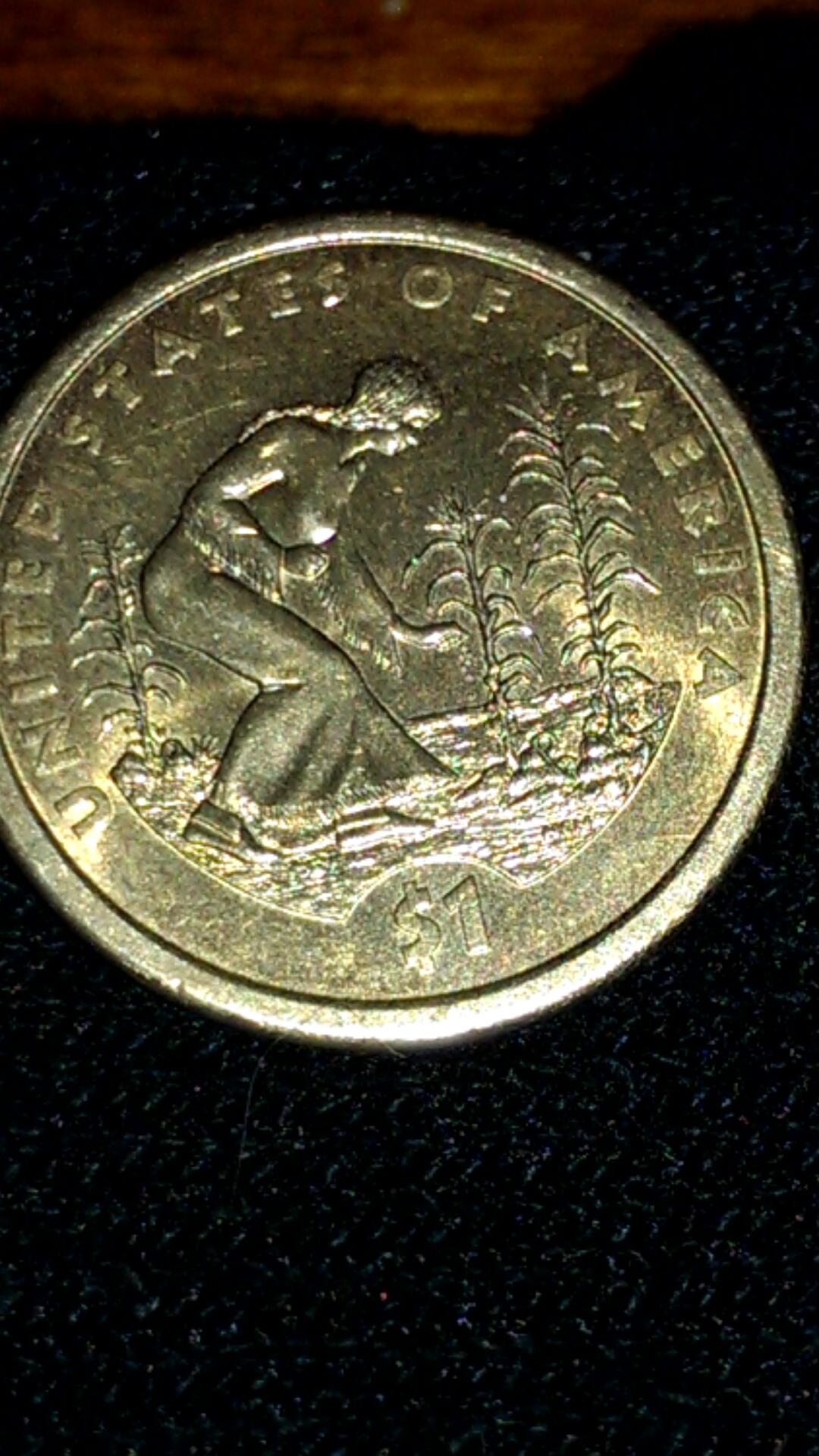 CM150217-17554651.jpg