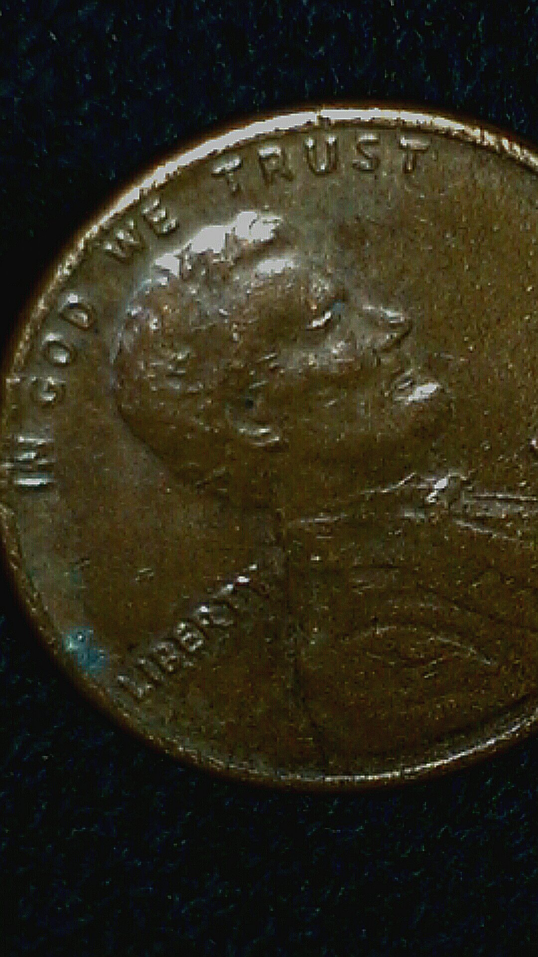 CM150224-03124208_1.jpg