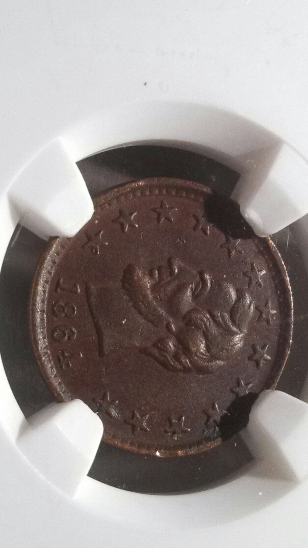 CM150811-20314701.jpg