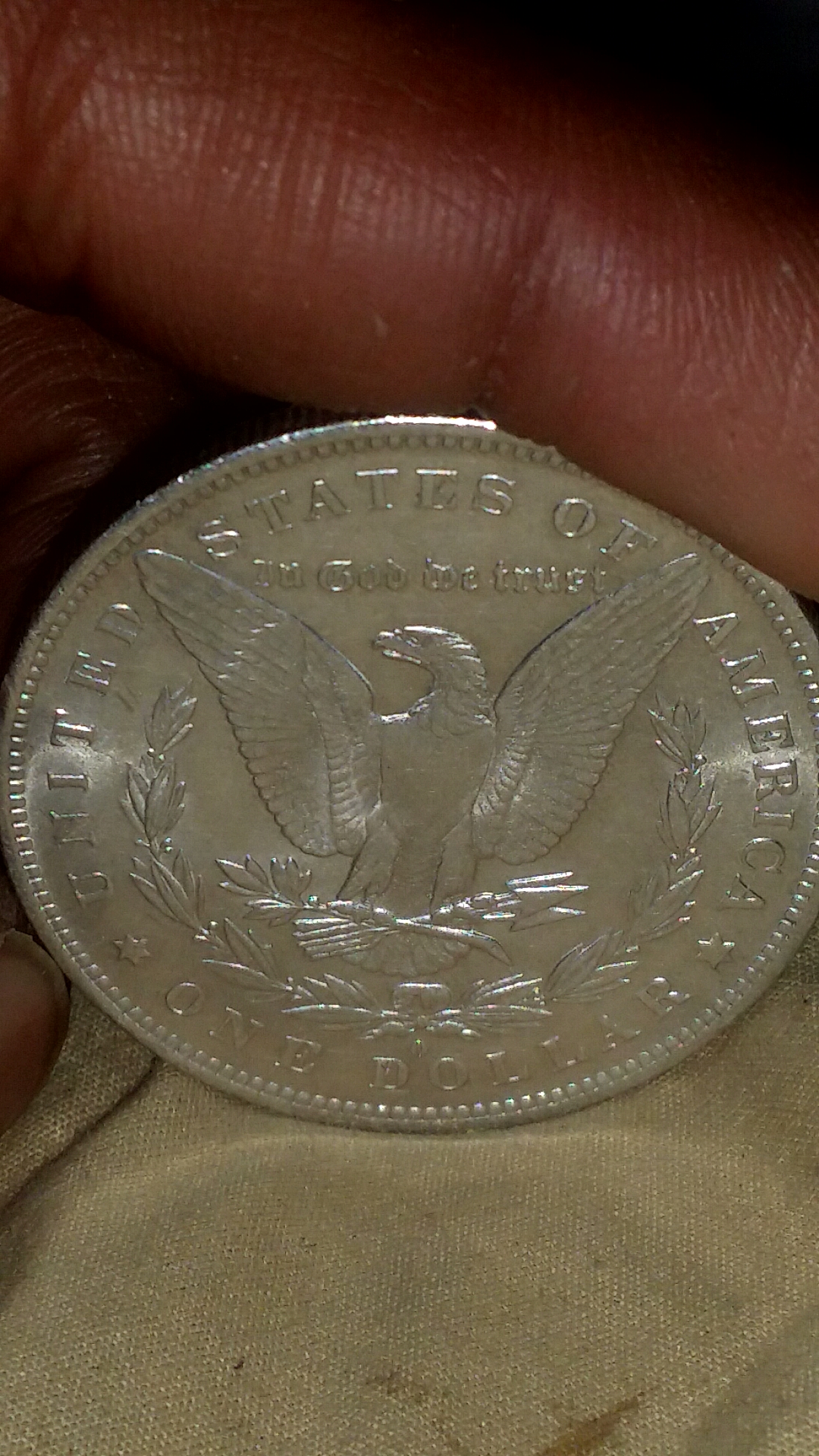 CM150820-04070804.jpg