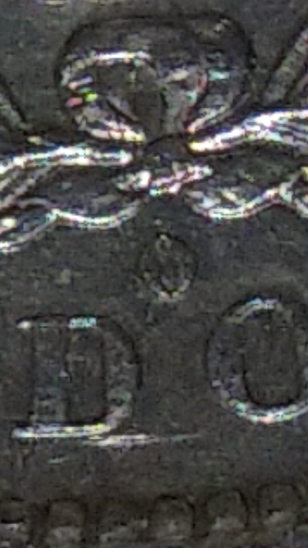 CM150821-02261407.jpg