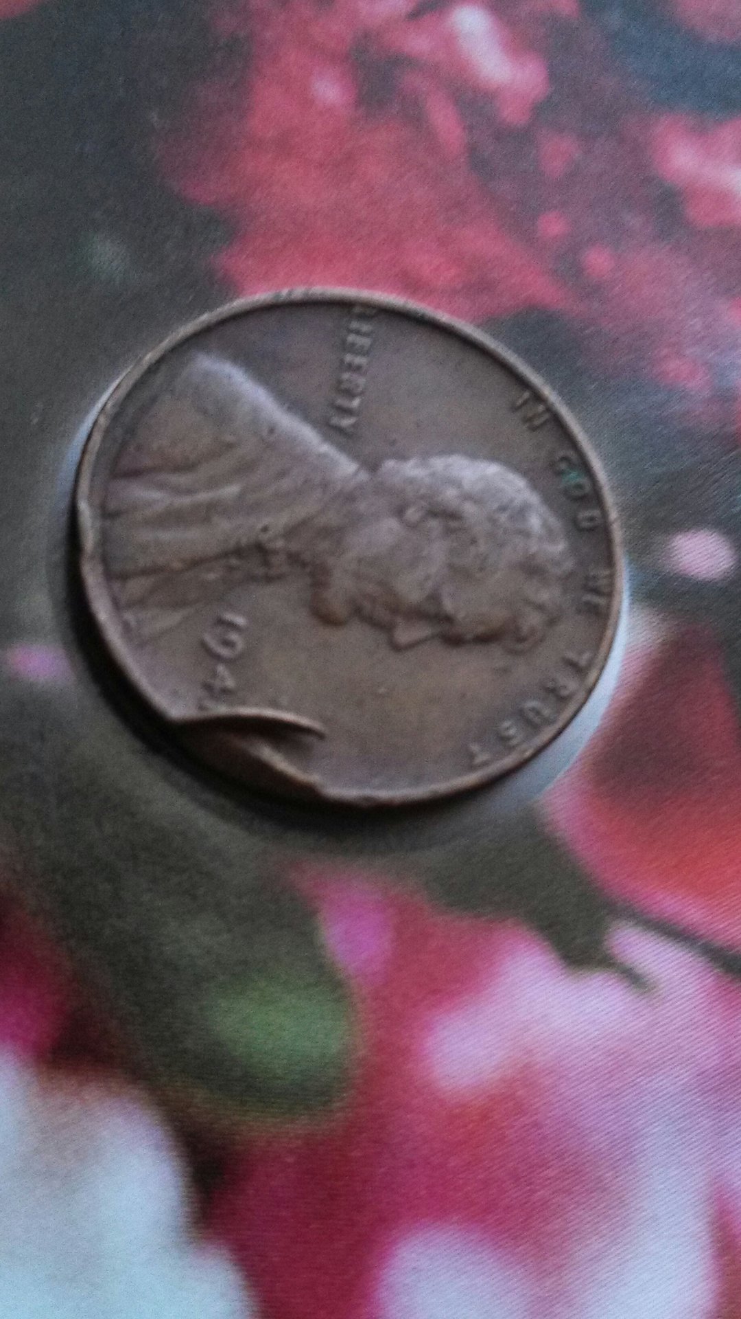 CM160104-16124304.jpg