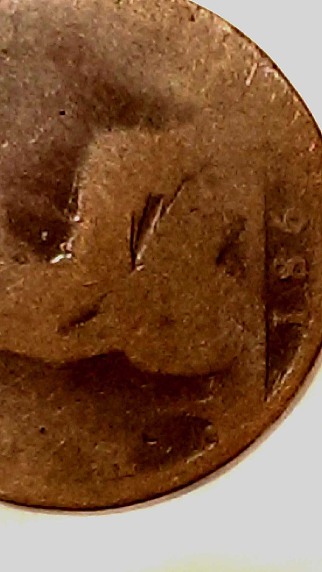 CM160429-03340402.jpg