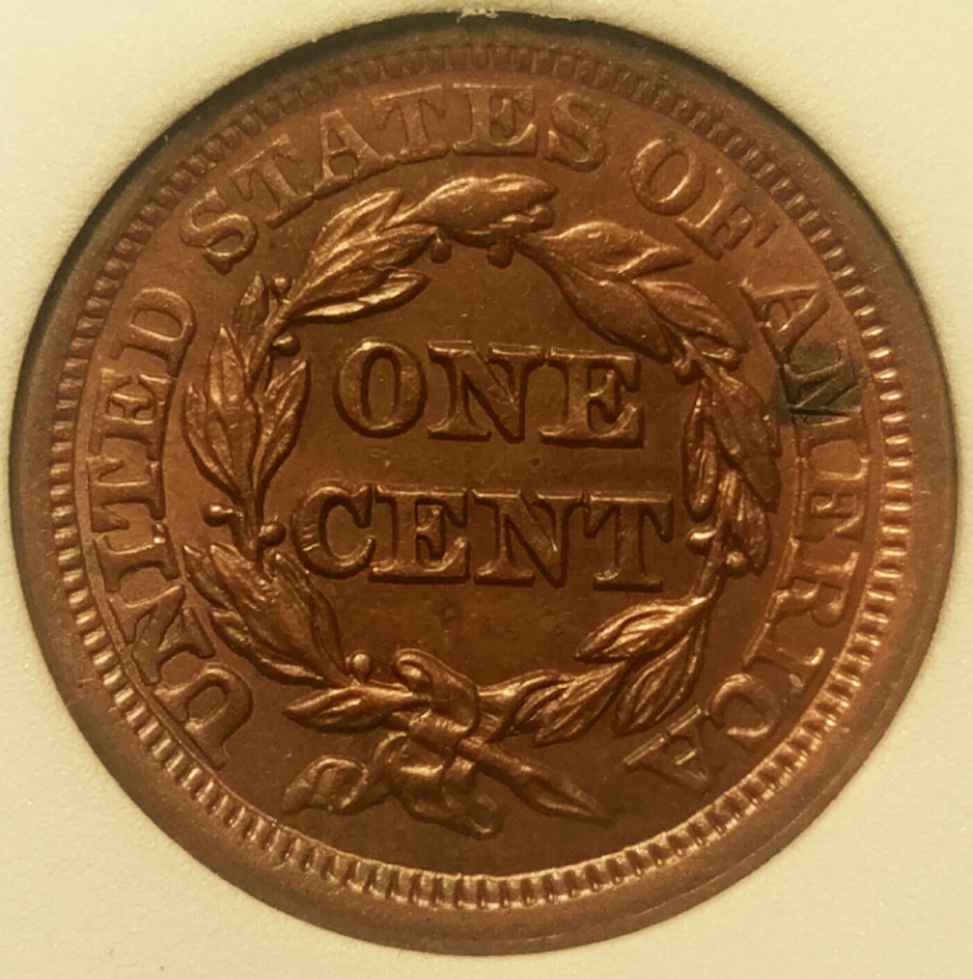 CM160829-16033002.jpg