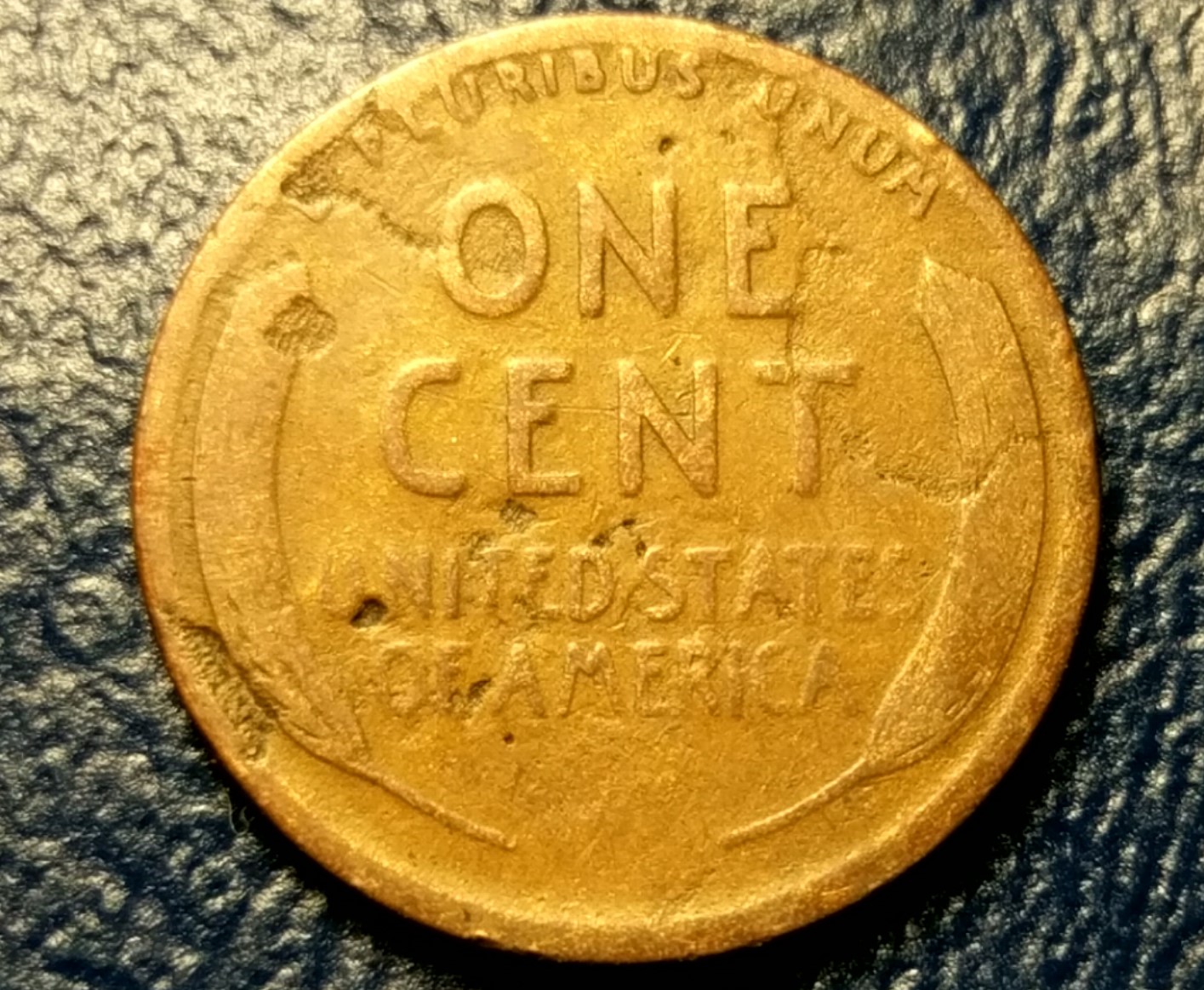 CM160917-13425203.jpg
