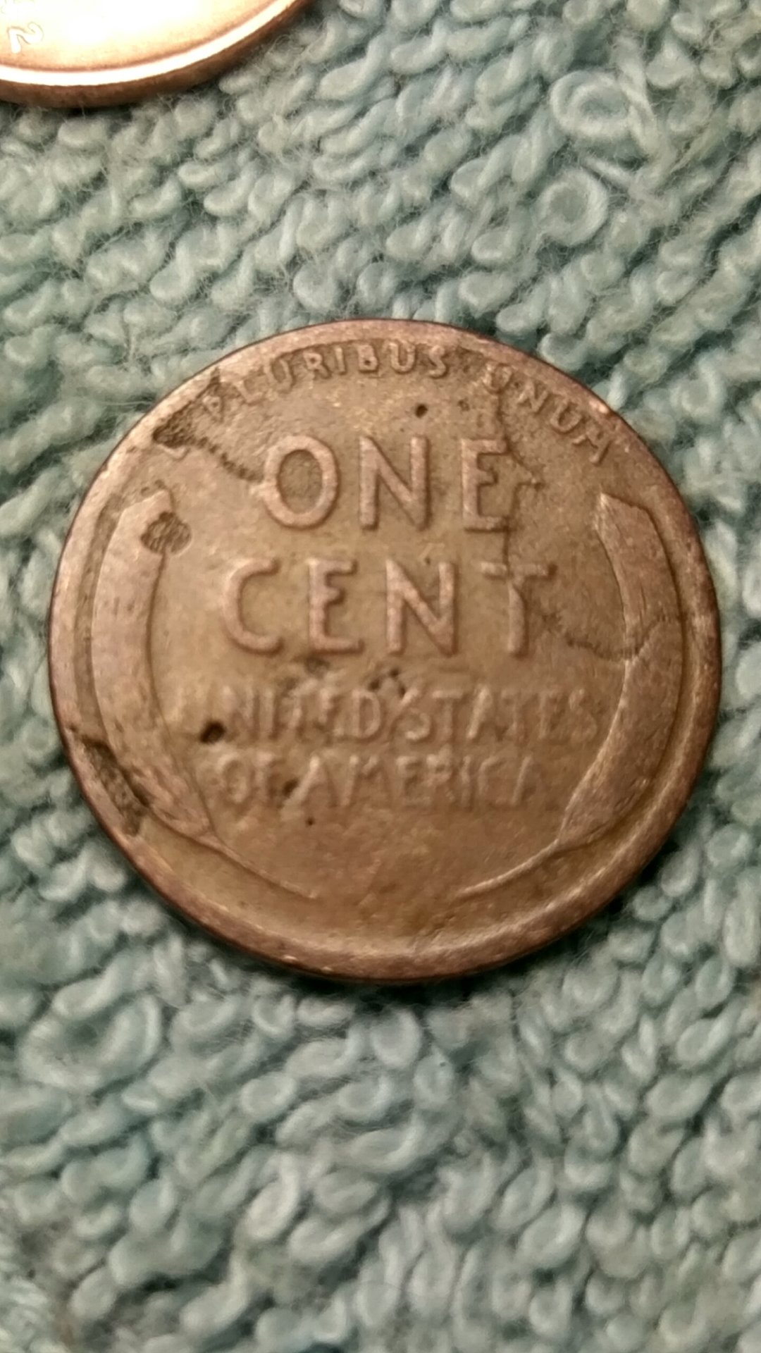 CM160921-12063204.jpg