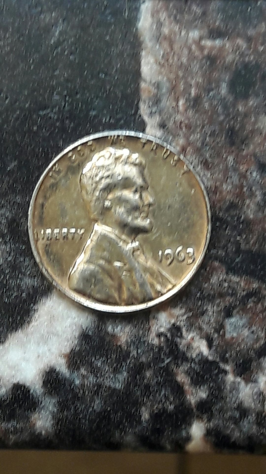 CM170201-14210001.jpg