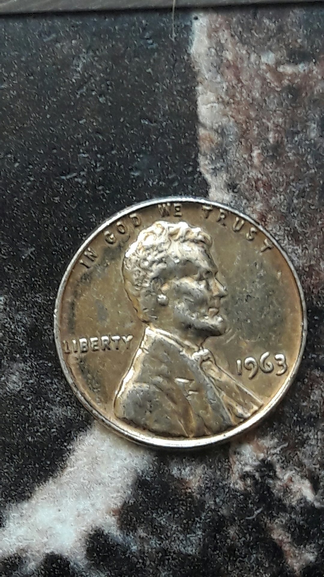 CM170201-14211302.jpg