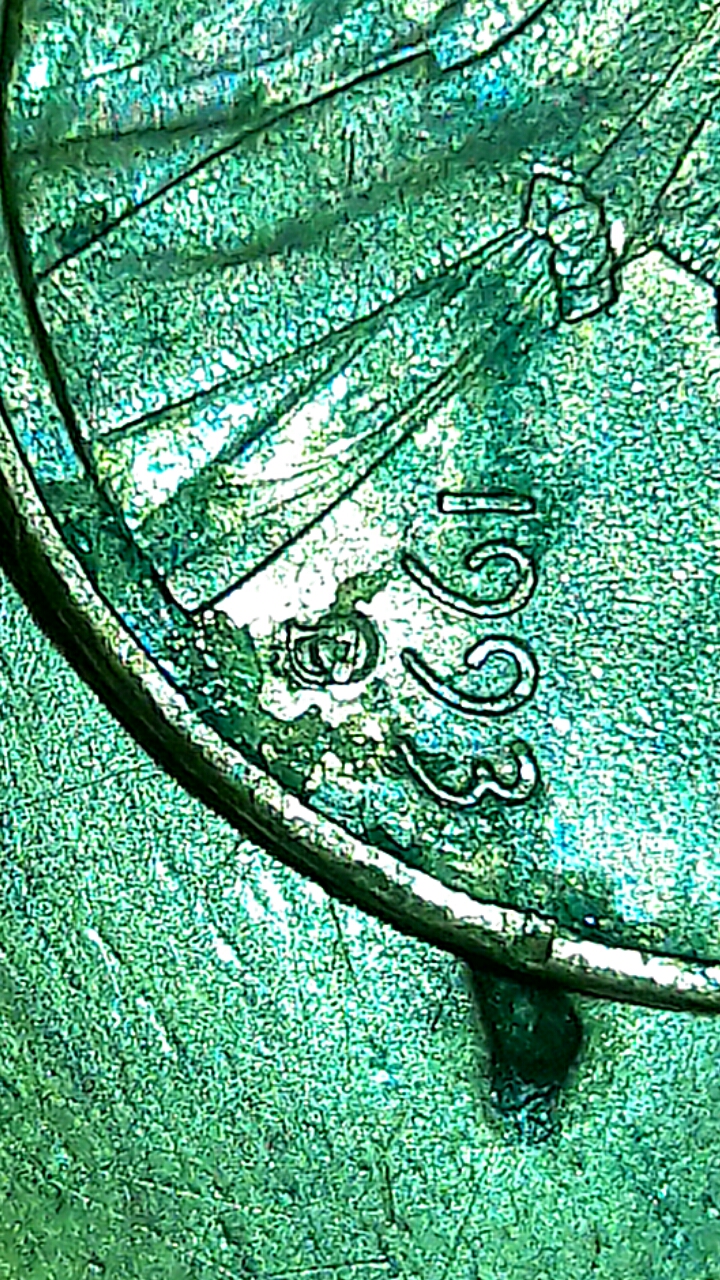 CM170204-16020301.jpg