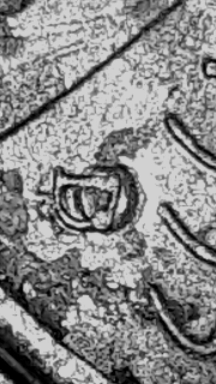 CM170204-16041003.jpg