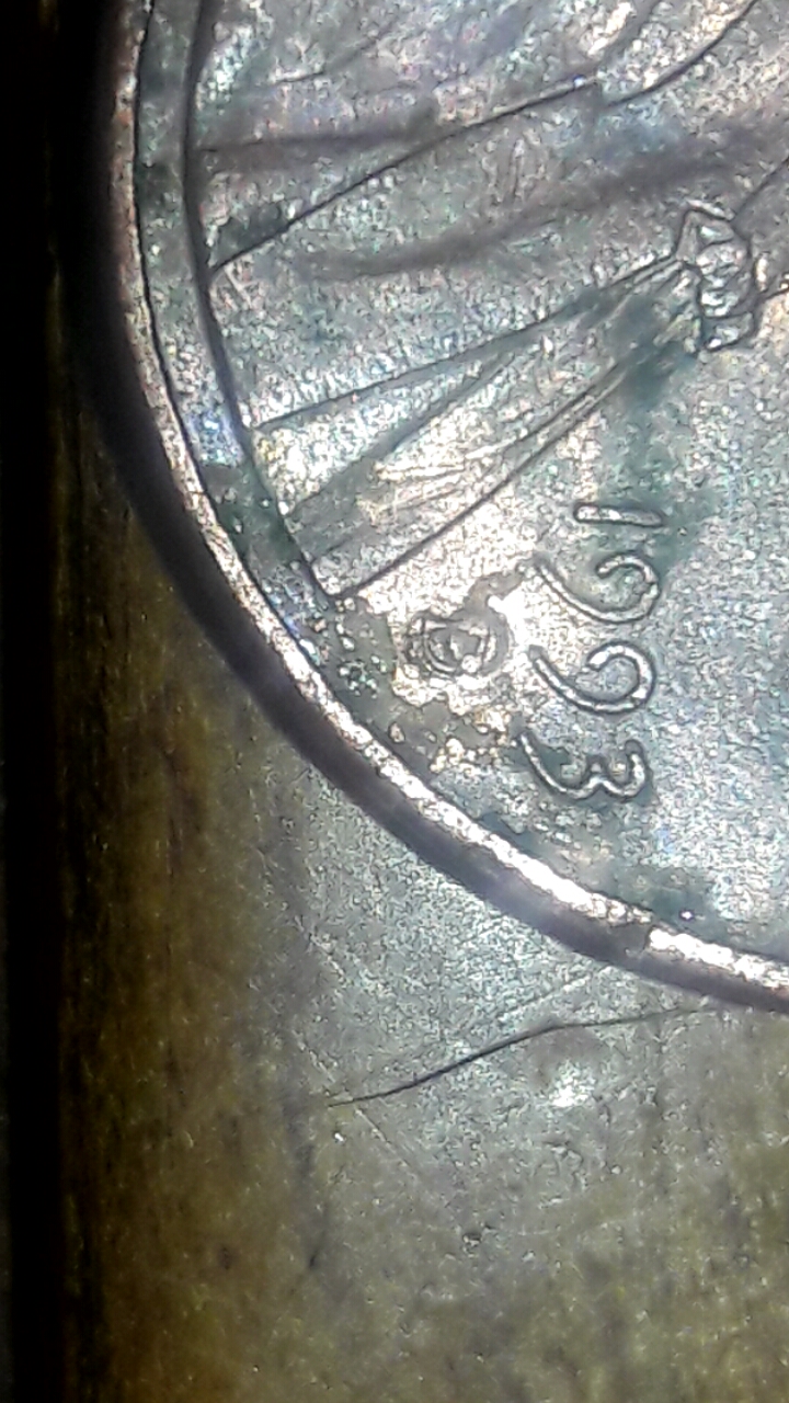 CM170204-16370802.jpg