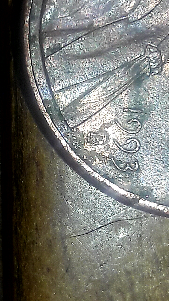 CM170204-16371103.jpg