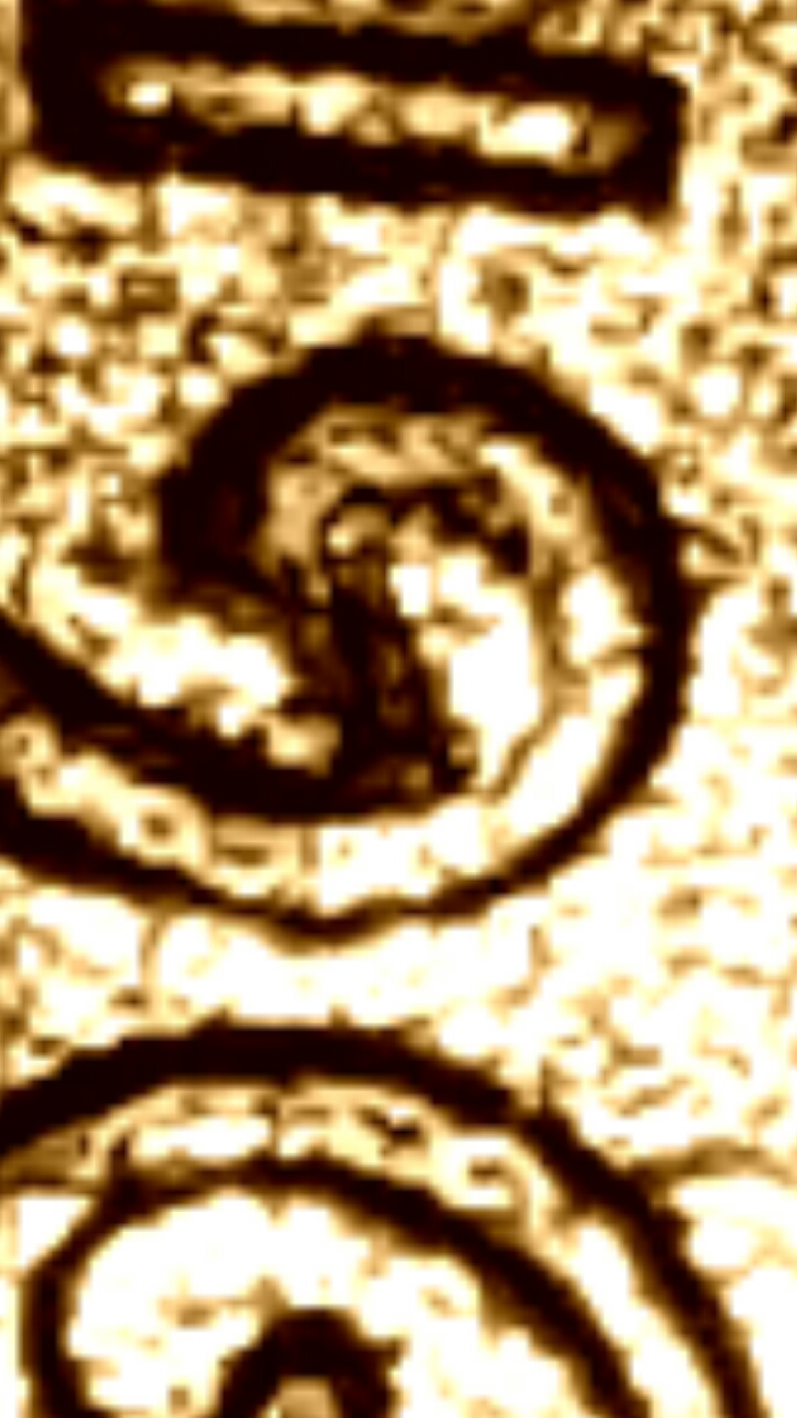 CM170213-00162102.jpg