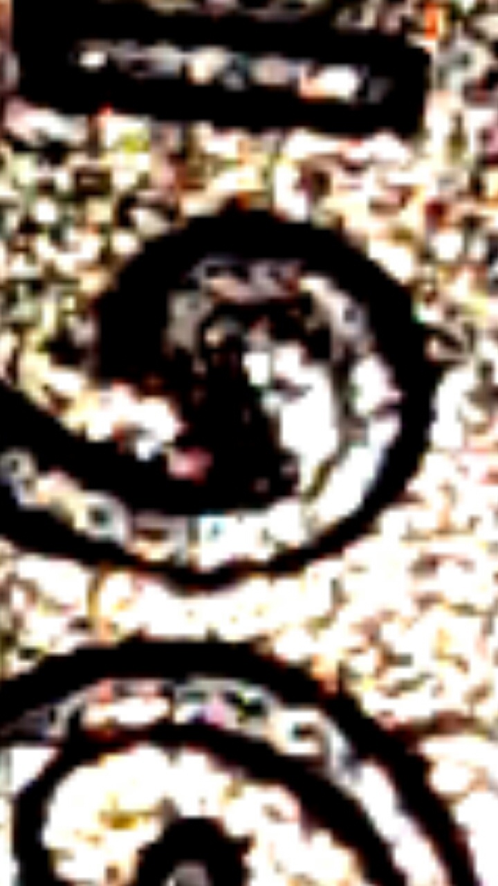 CM170213-00163403.jpg