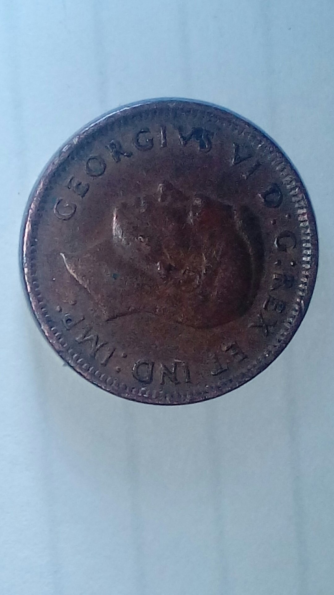 CM170217-04495901.jpg