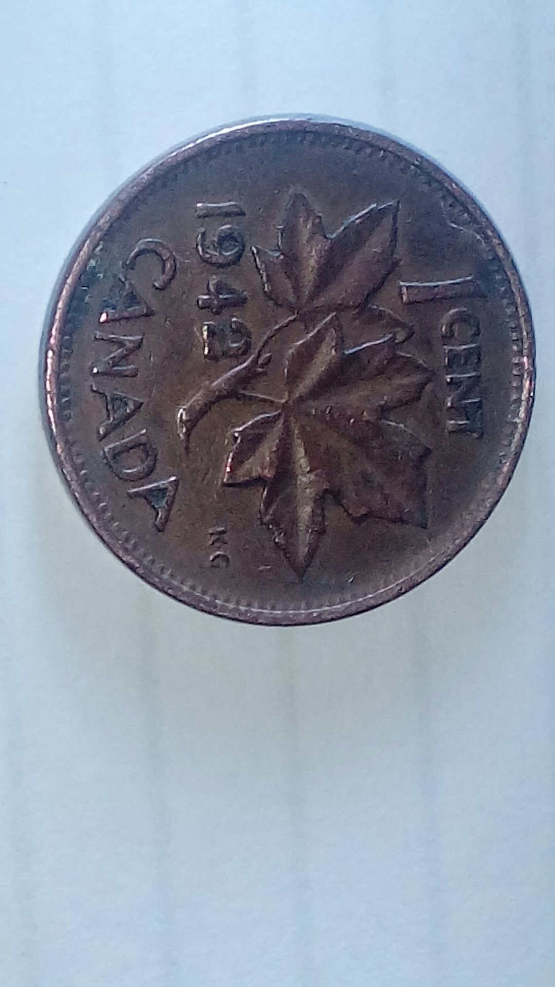 CM170217-04504702.jpg