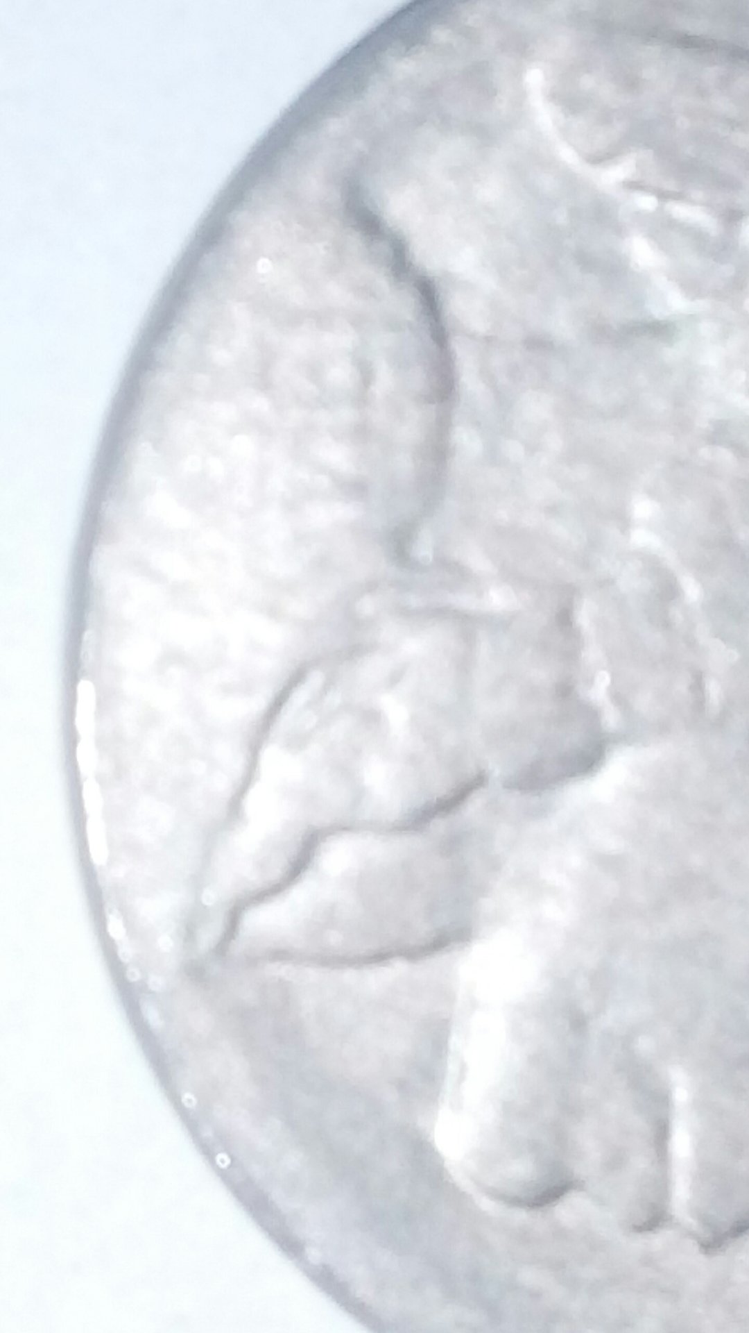 CM170218-12454501.jpg