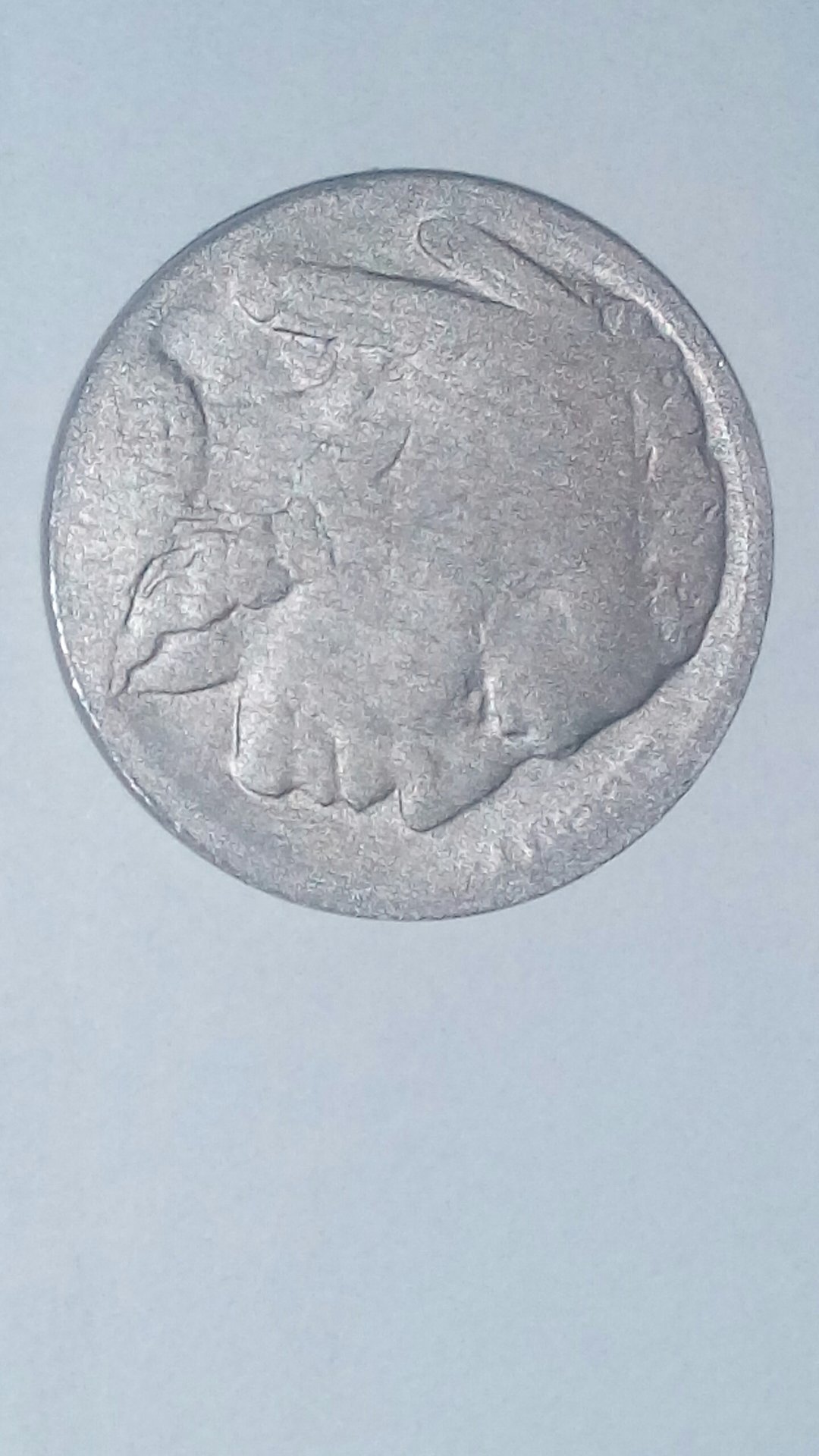 CM170218-12462102.jpg