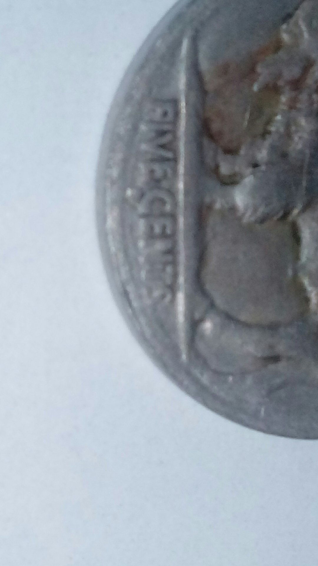 CM170218-12541705.jpg