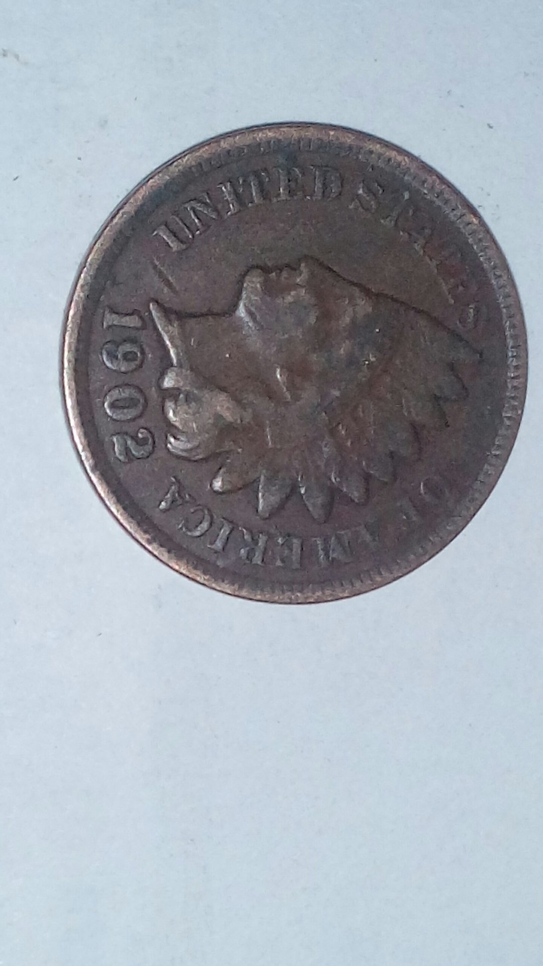 CM170218-14351209.jpg