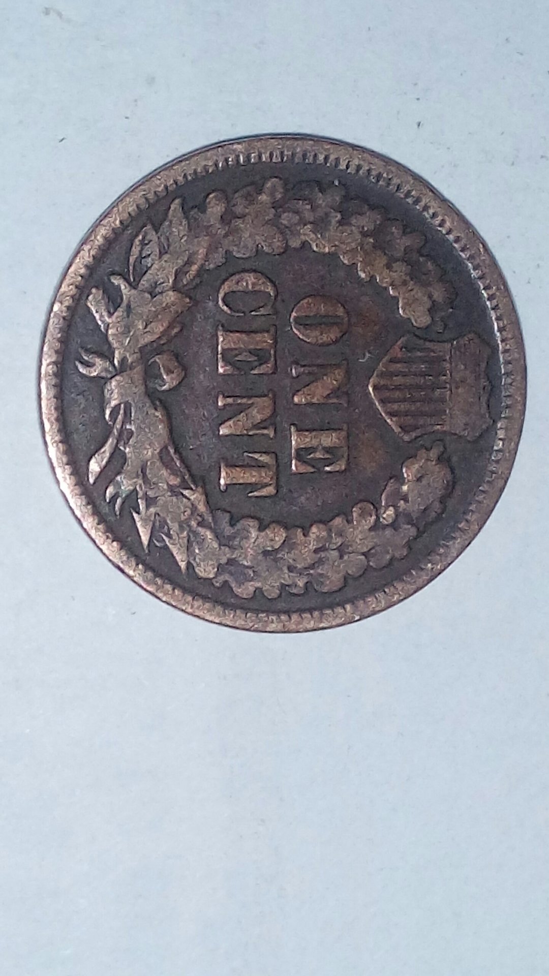 CM170218-14362212.jpg
