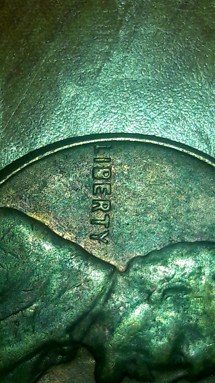 CM170219-05385202.jpg