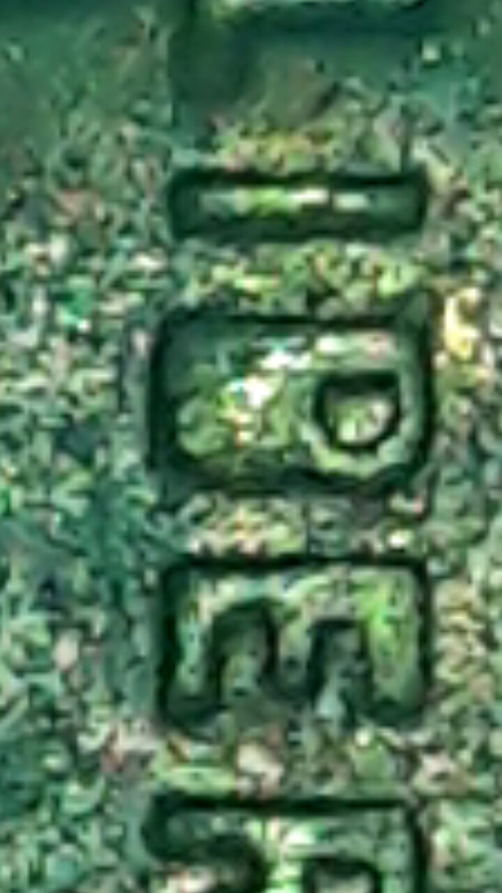 CM170219-05390504.jpg
