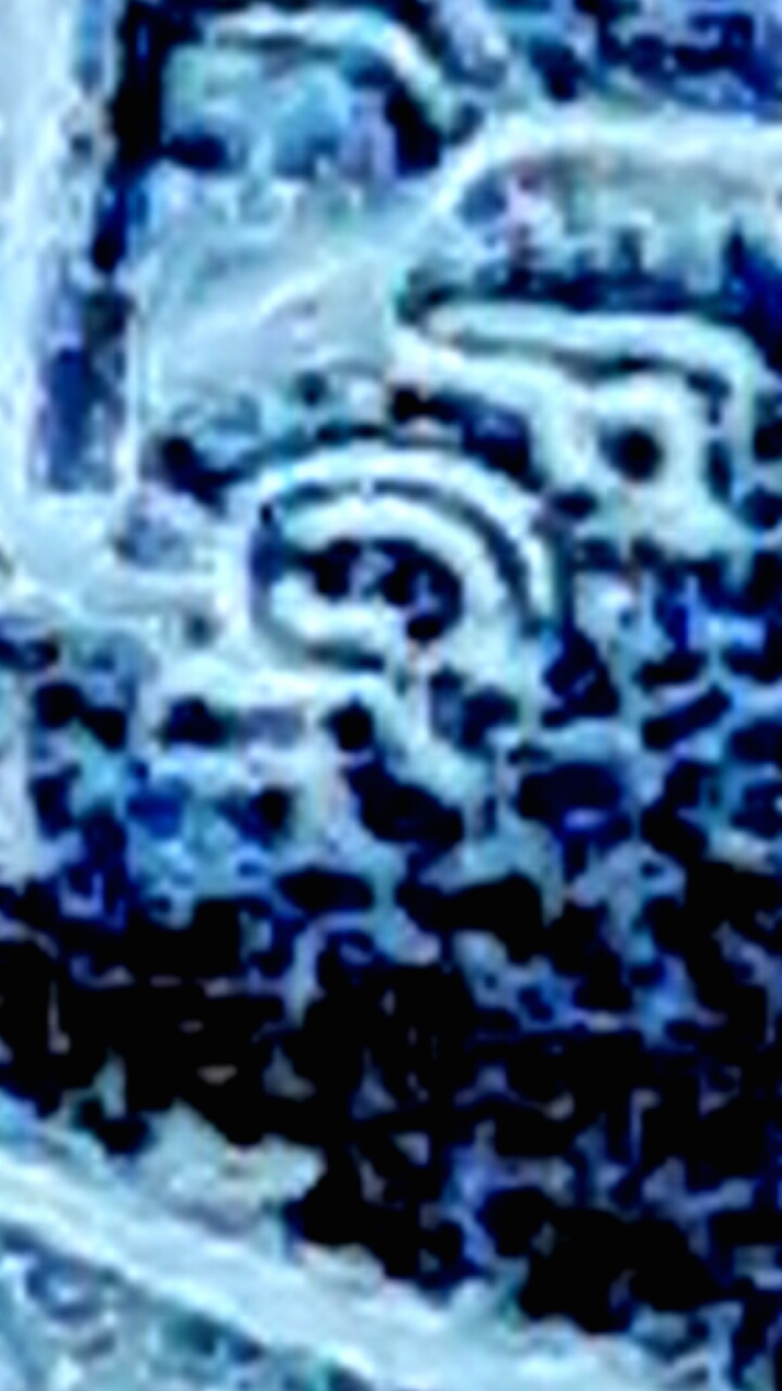 CM170226-15030511.jpg