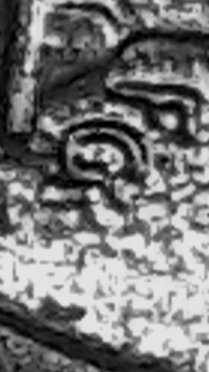CM170226-15034615.jpg