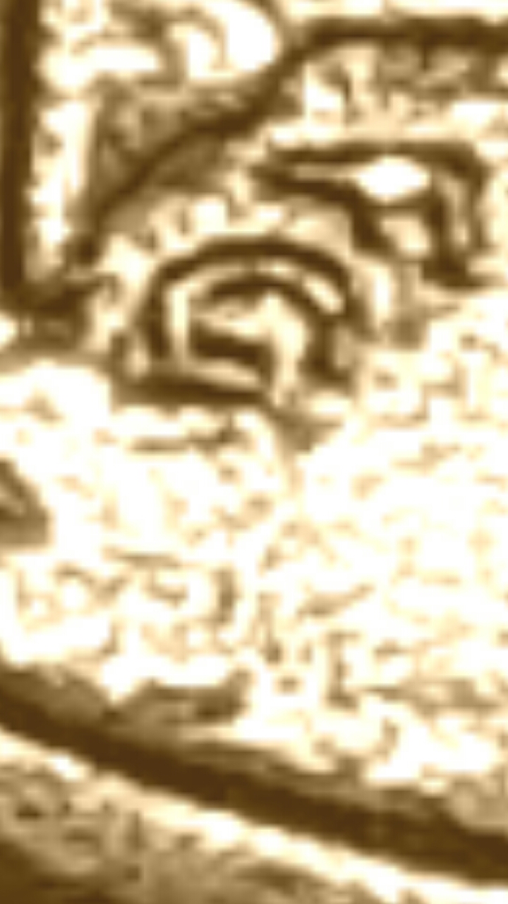 CM170227-12071303.jpg