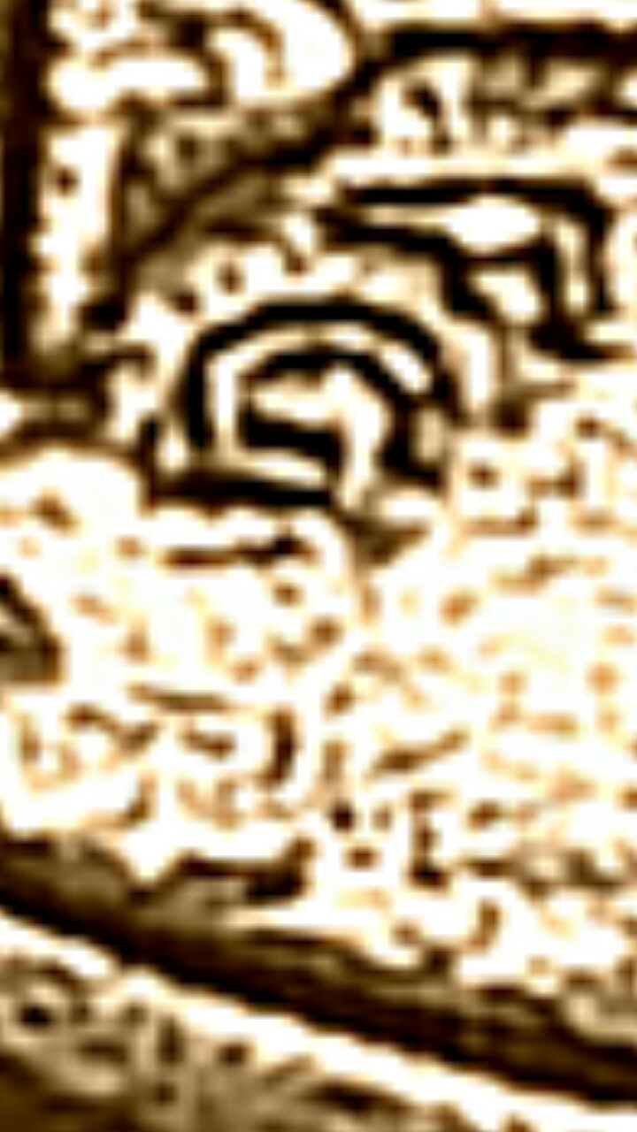 CM170227-12073804.jpg