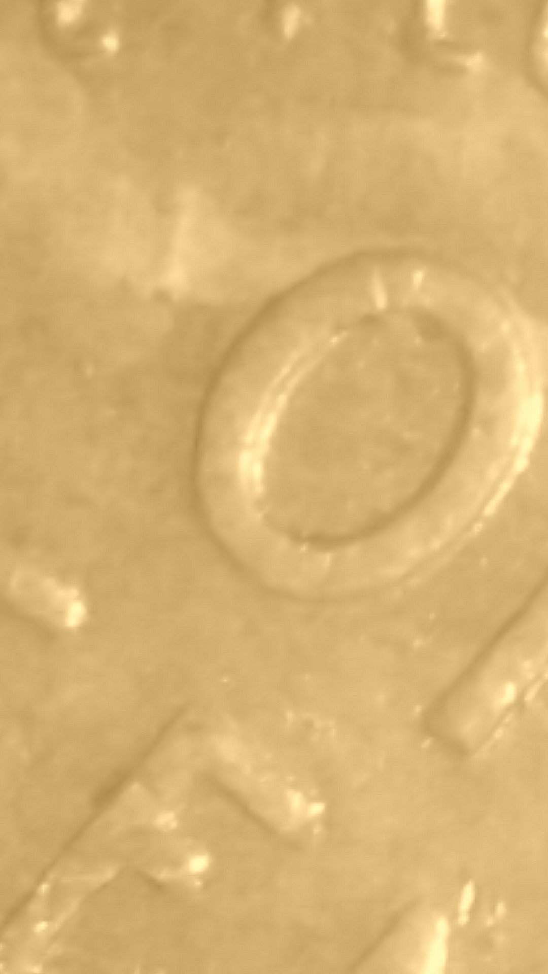 CM170720-211753011.jpg