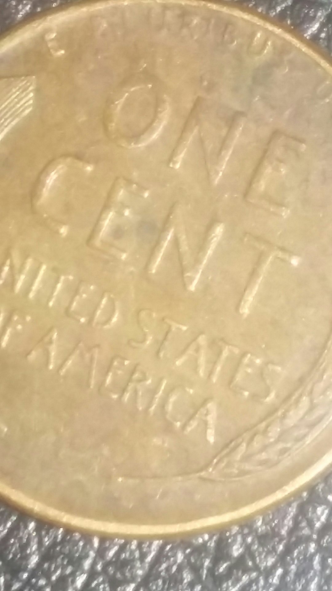 CM170720-212412001.jpg