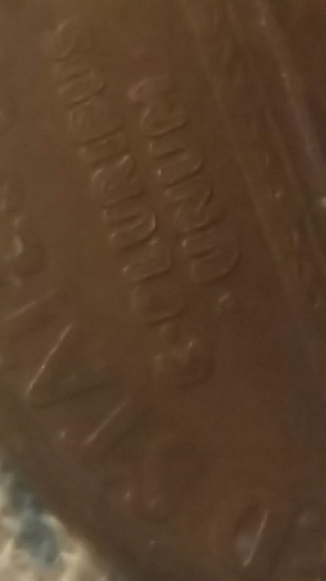 CM170725-145818025.jpg
