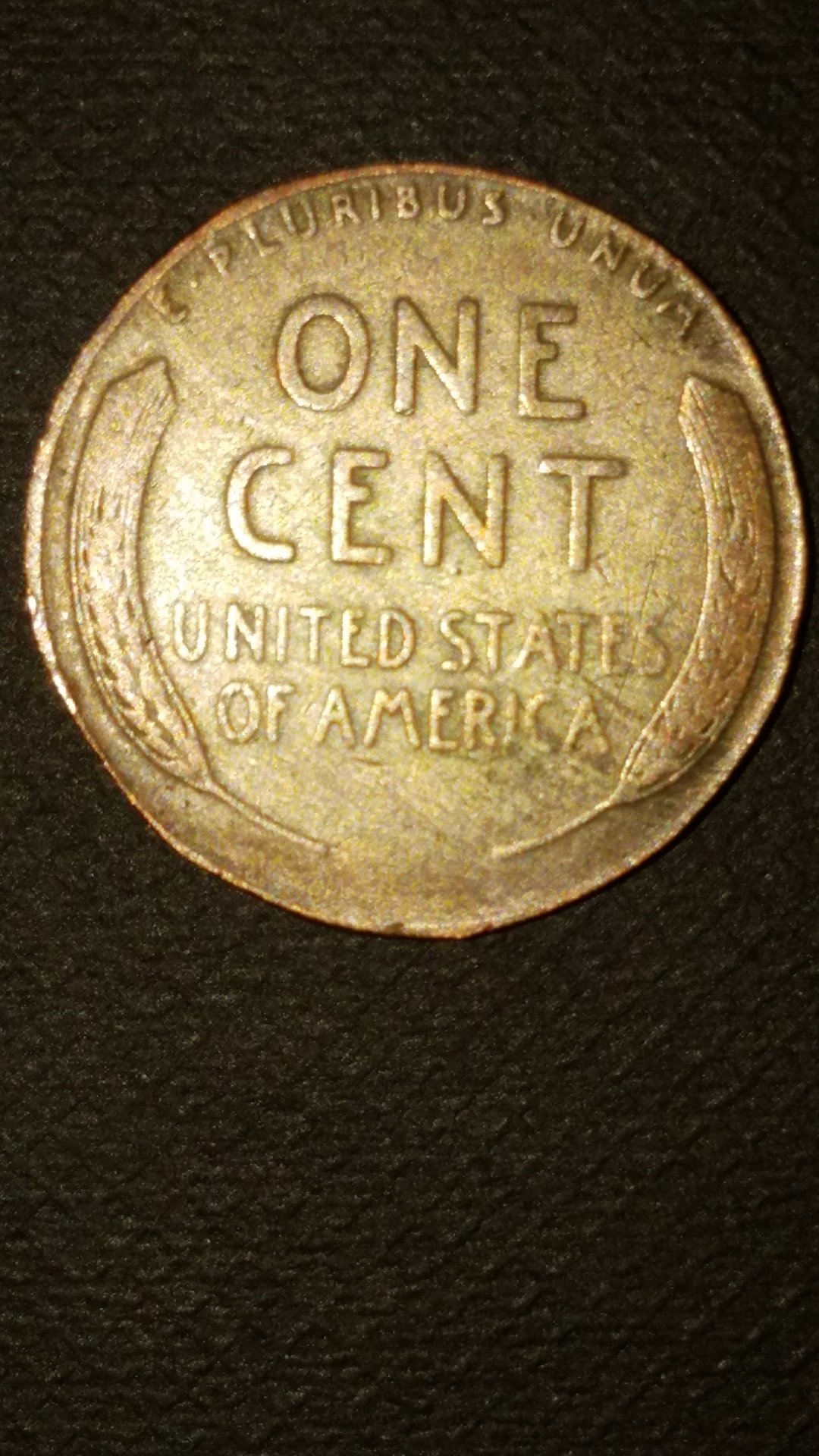 CM171018-00265502.jpg
