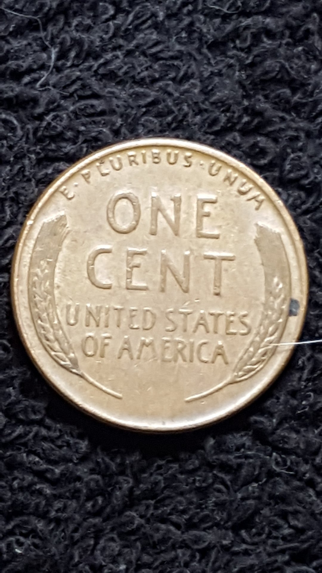 CM180320-224122006.jpg