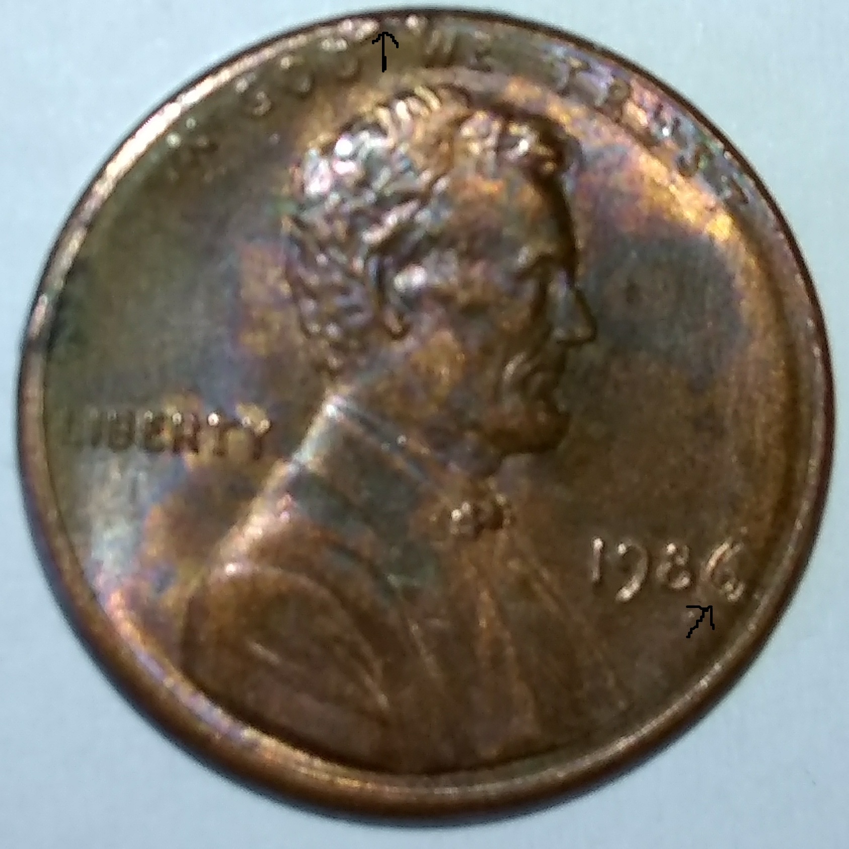 CM180403-143026004.jpg
